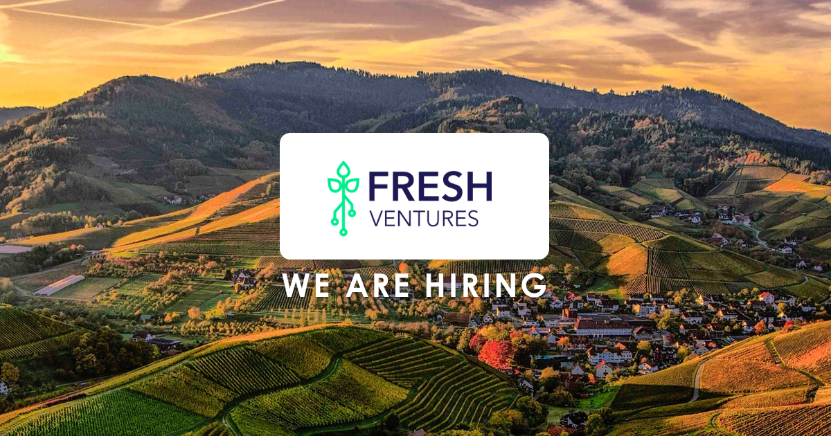 Fresh Ventures Studio